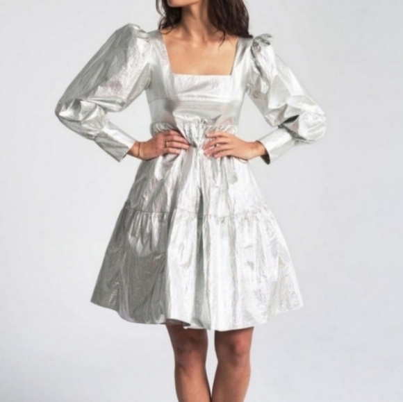 Rachel Antonoff Dresses & Skirts - RACHEL ANTONOFF CHRISTA METALLIC SILVER DRESS